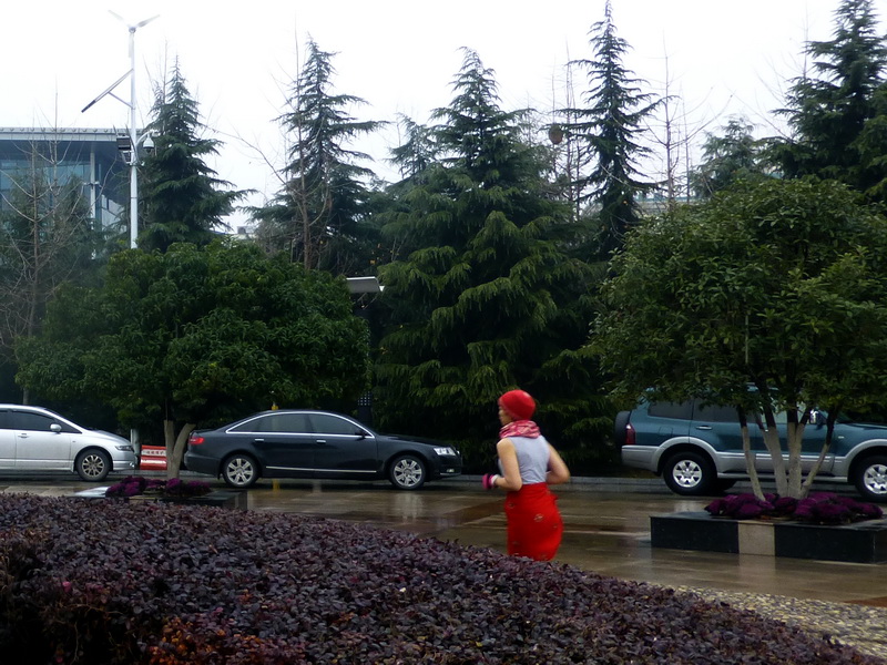 p1170003.jpg