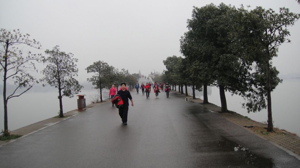 dsc08965.jpg