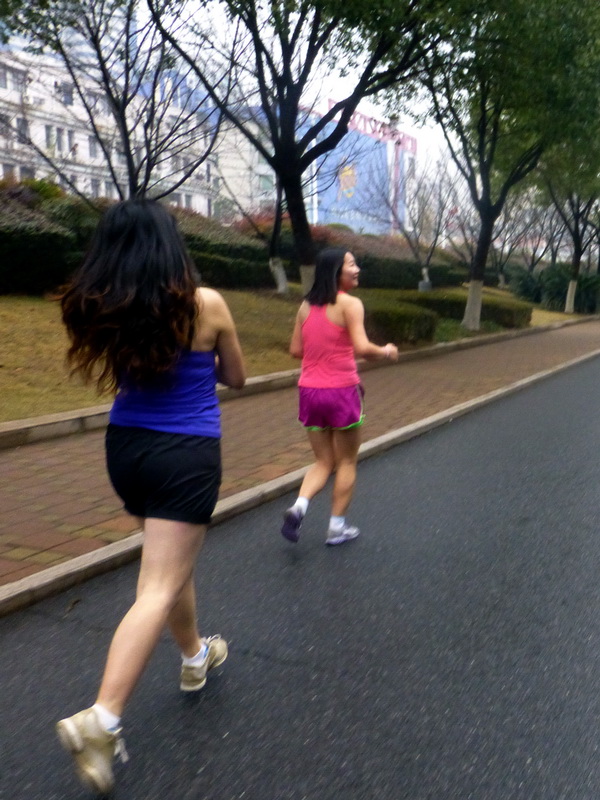 p1170051.jpg