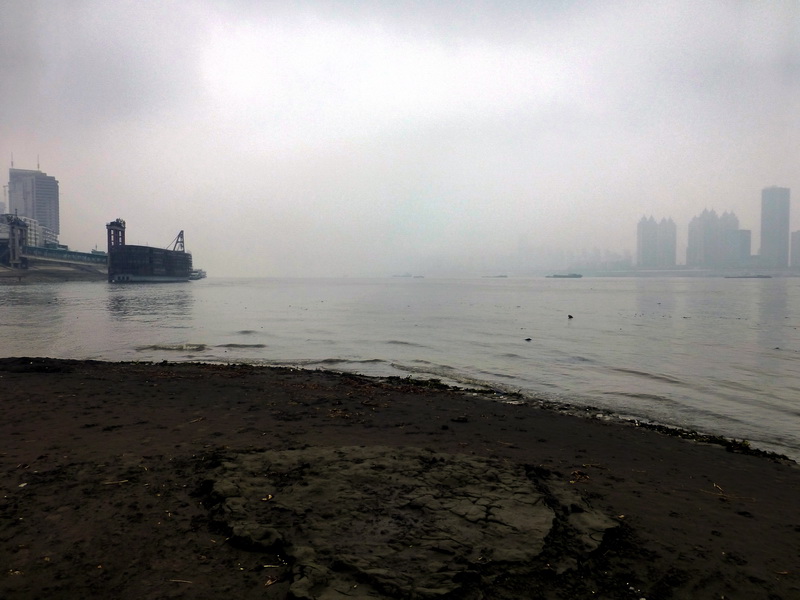 p1170130.jpg