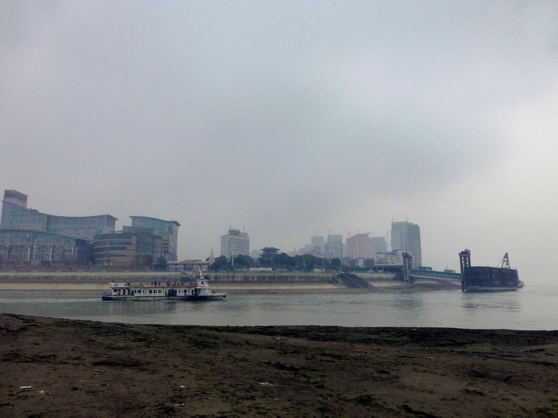 p1170131.jpg