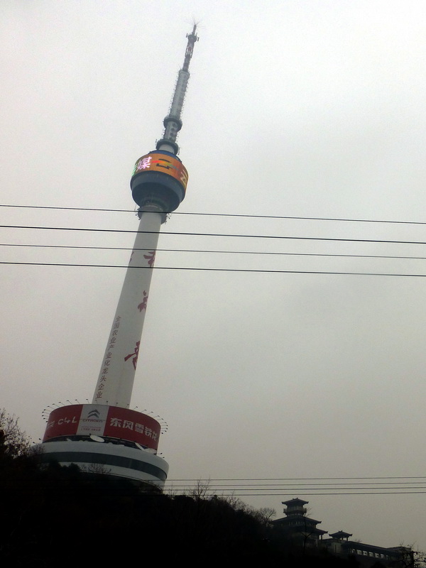 p1170144.jpg