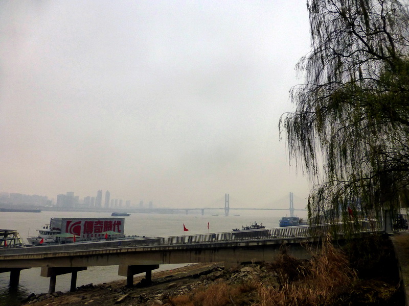 p1170176.jpg