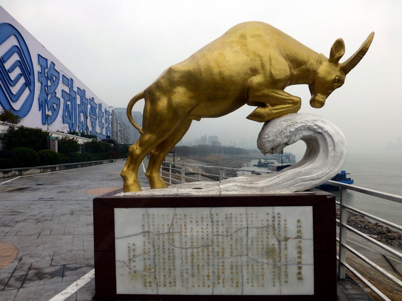 p1170181.jpg