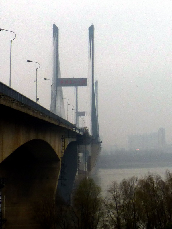 p1170188.jpg