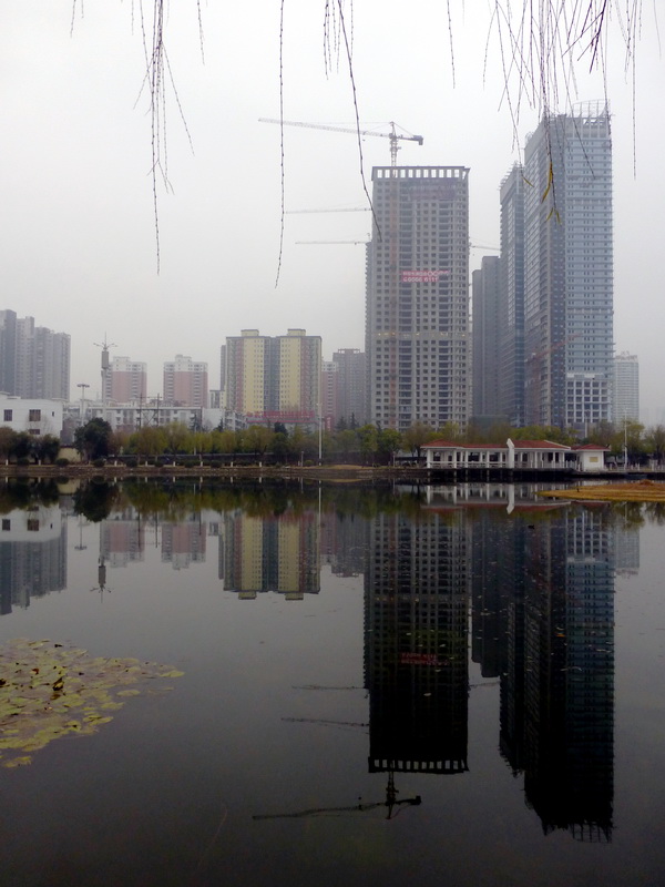 p1170192.jpg