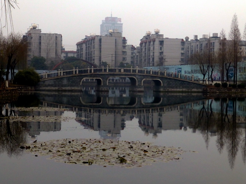p1170194.jpg