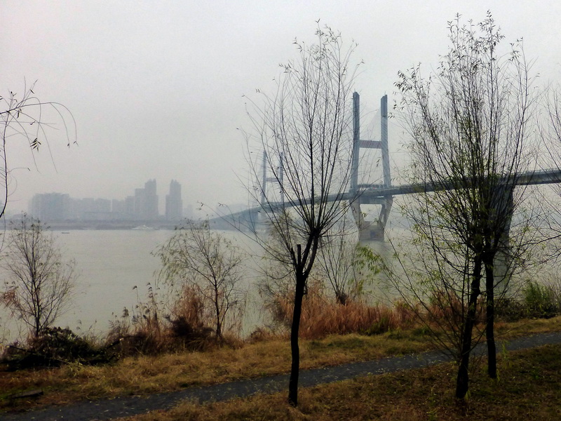 p1170184.jpg