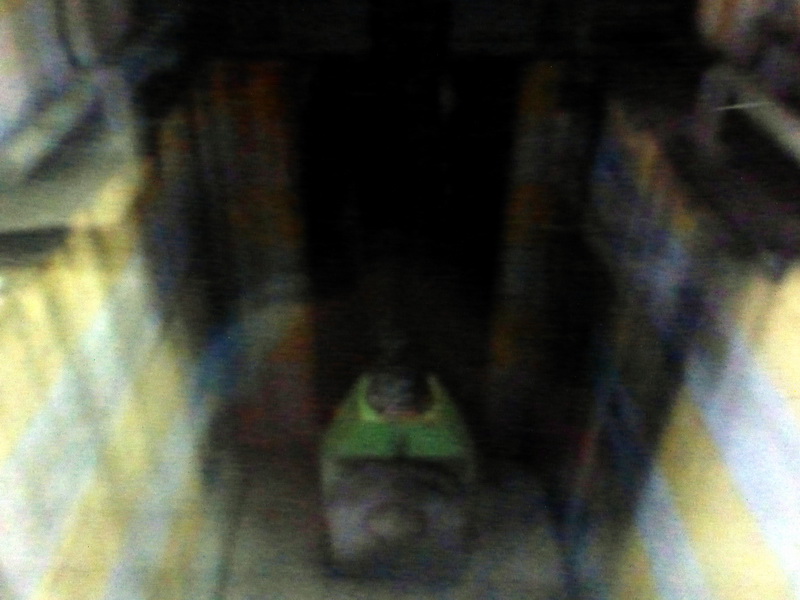 p1160296.jpg