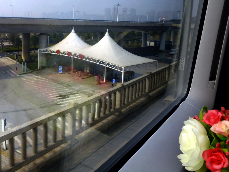 p1160350.jpg