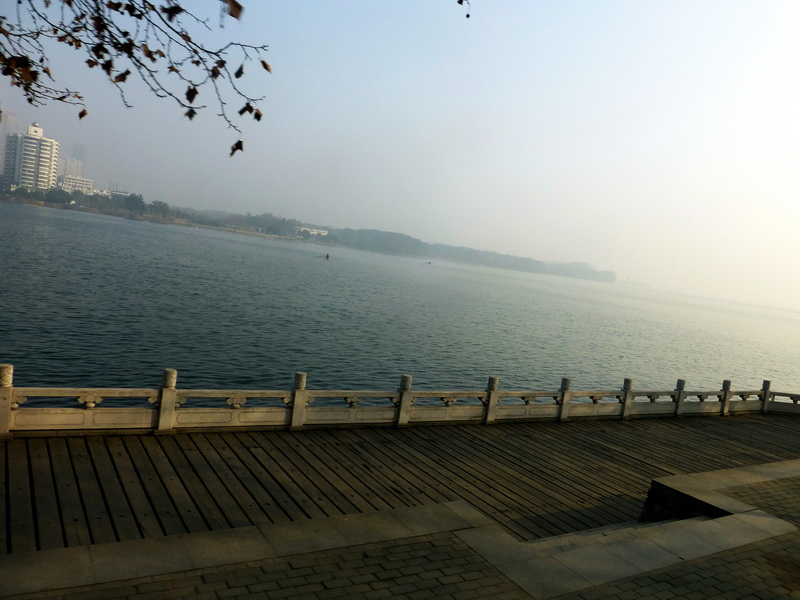 p1170217.jpg