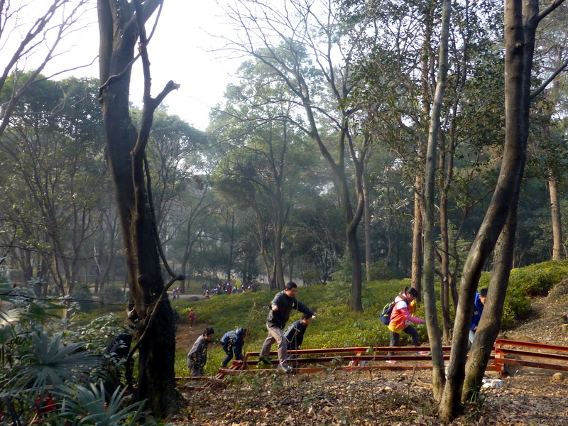 p1170322.jpg