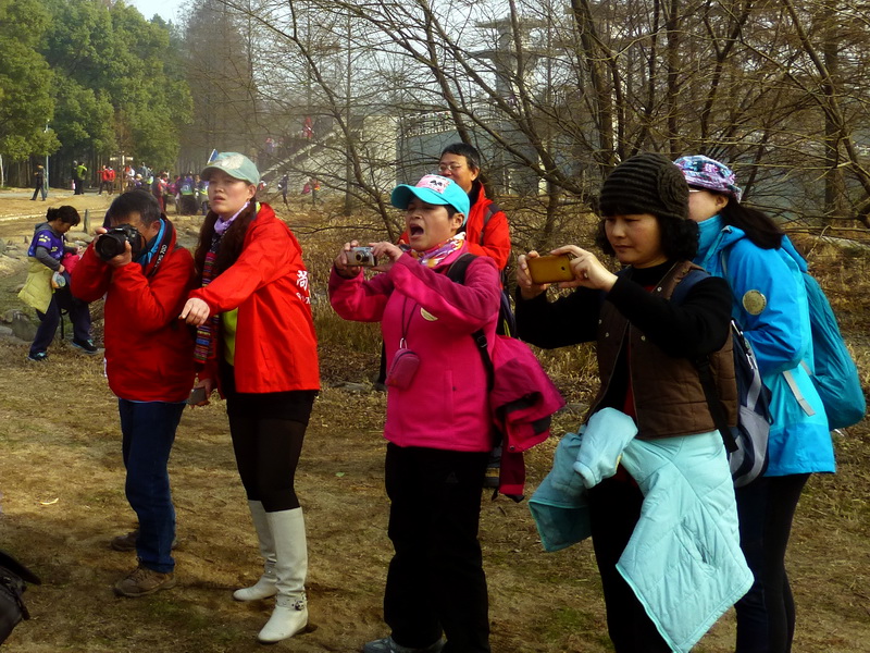 p1170427.jpg