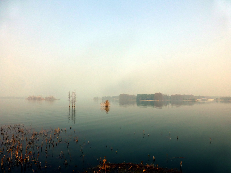 p1170446.jpg