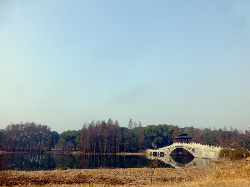 p1170443.jpg