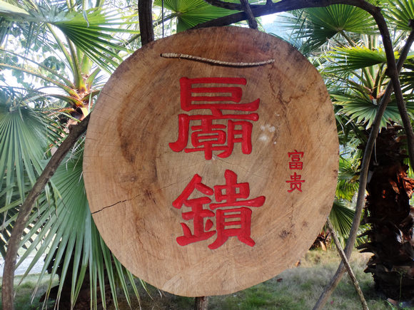 dsc05370.jpg