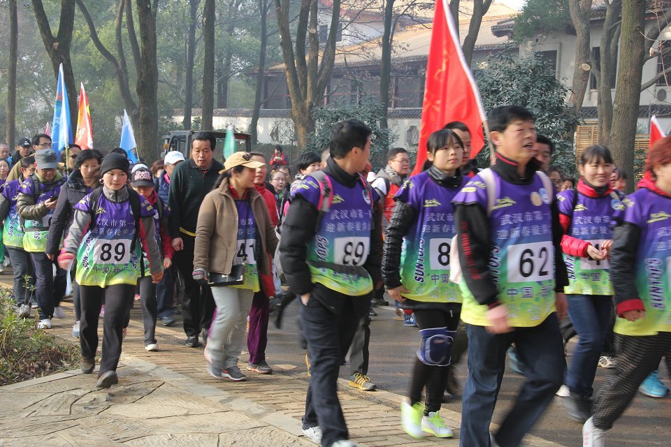 310.jpg
