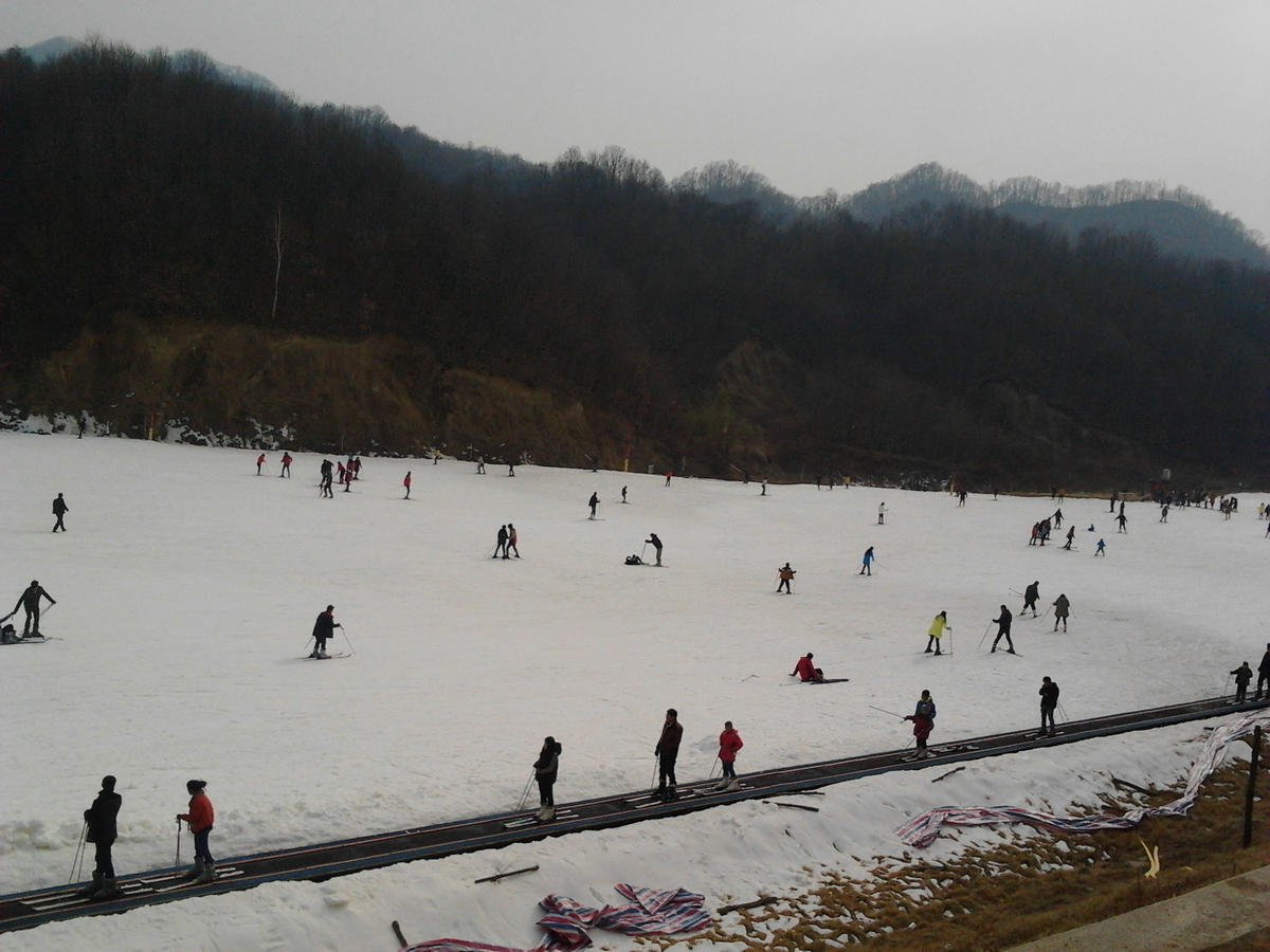 2014-01-25 14.05.19.jpg