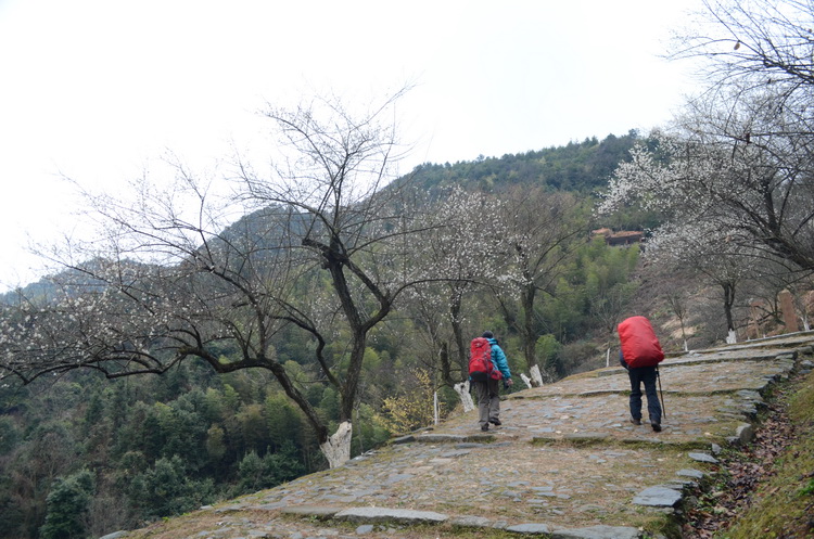 复件 dsc_2265.jpg