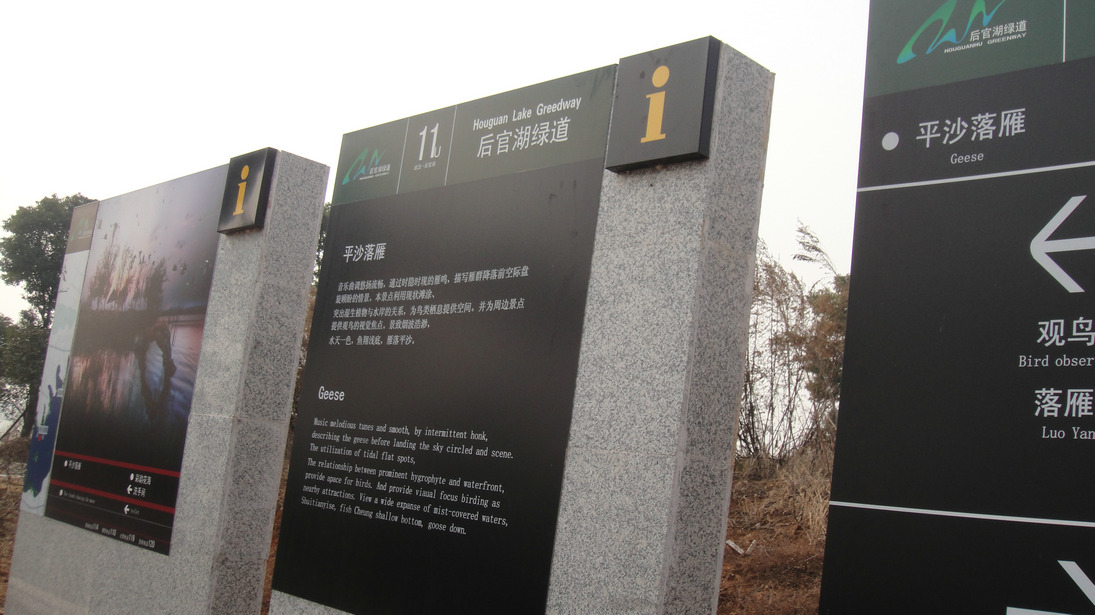 dsc09606.jpg