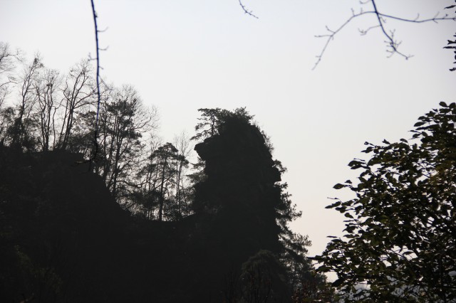 img_7411.jpg