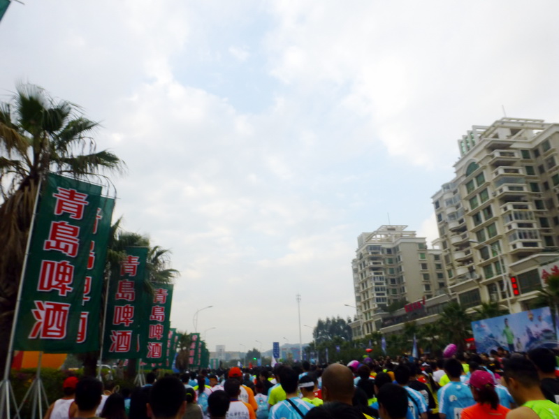 p1160678.jpg