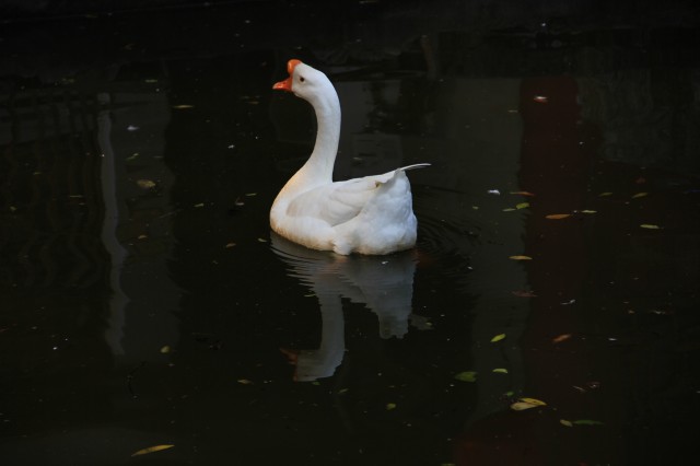 img_7686.jpg