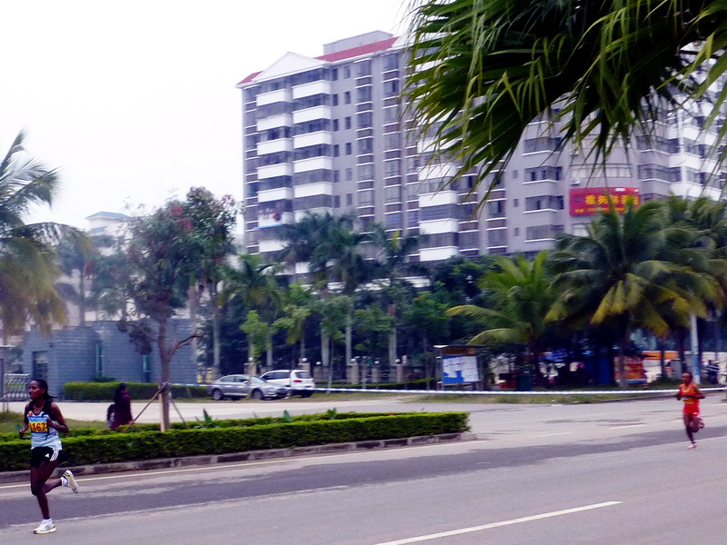 p1160080.jpg