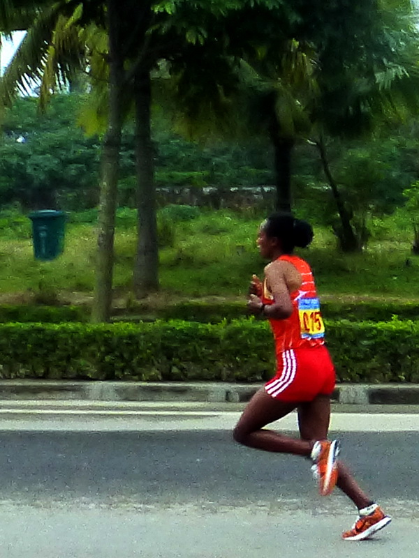 p1160081.jpg