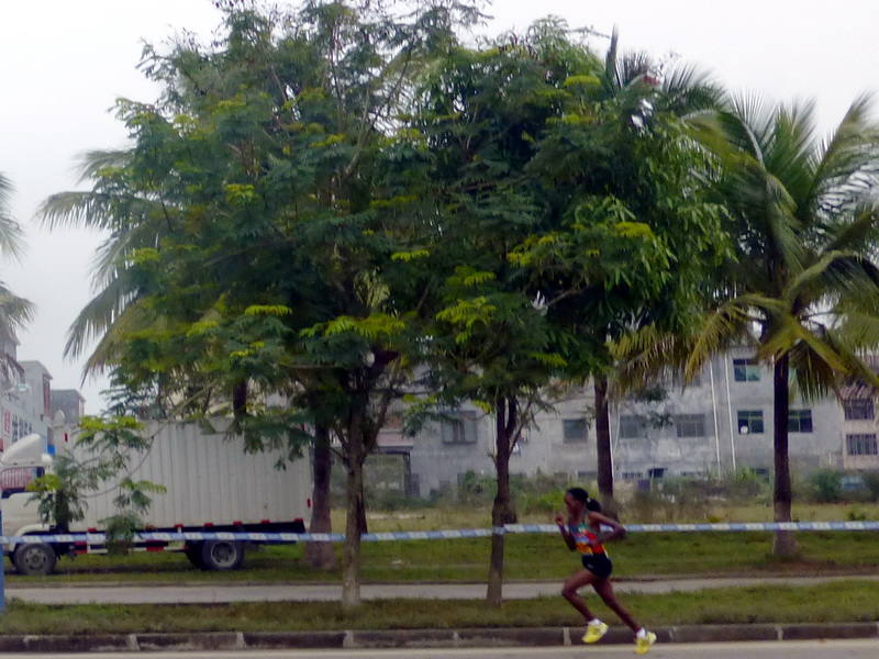 p1160086.jpg