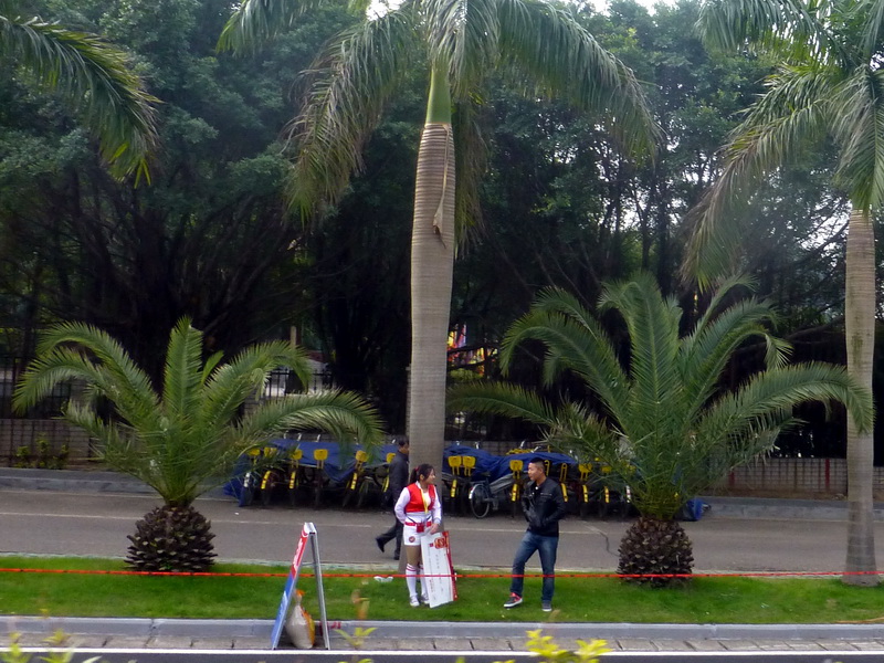 p1160729.jpg