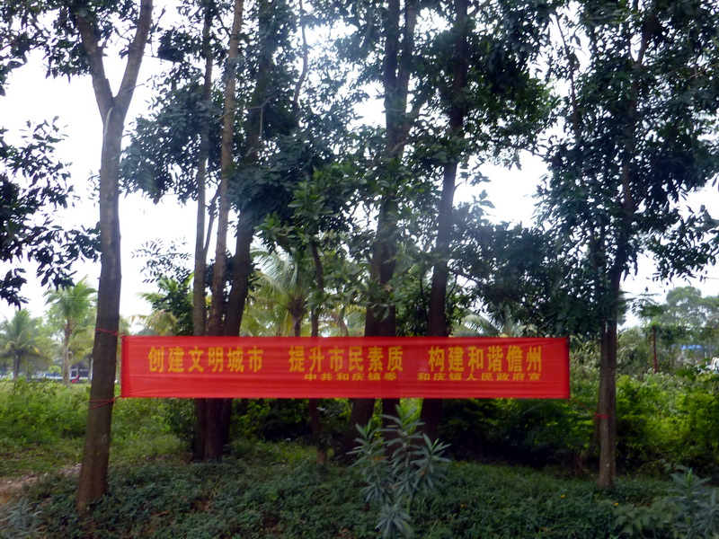 p1160127.jpg