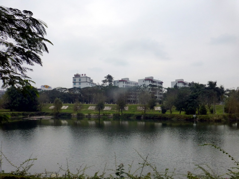 p1160155.jpg