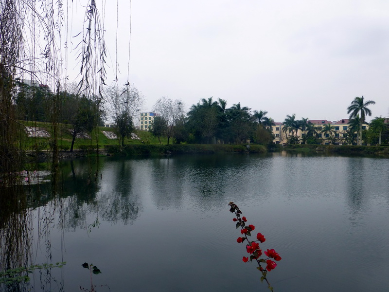 p1160156.jpg