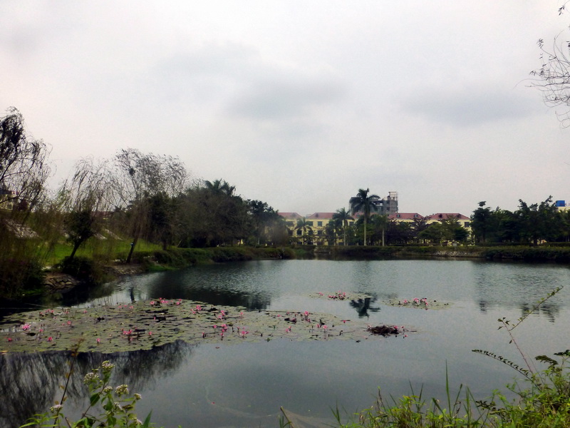 p1160158.jpg