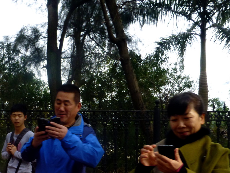 p1160750.jpg