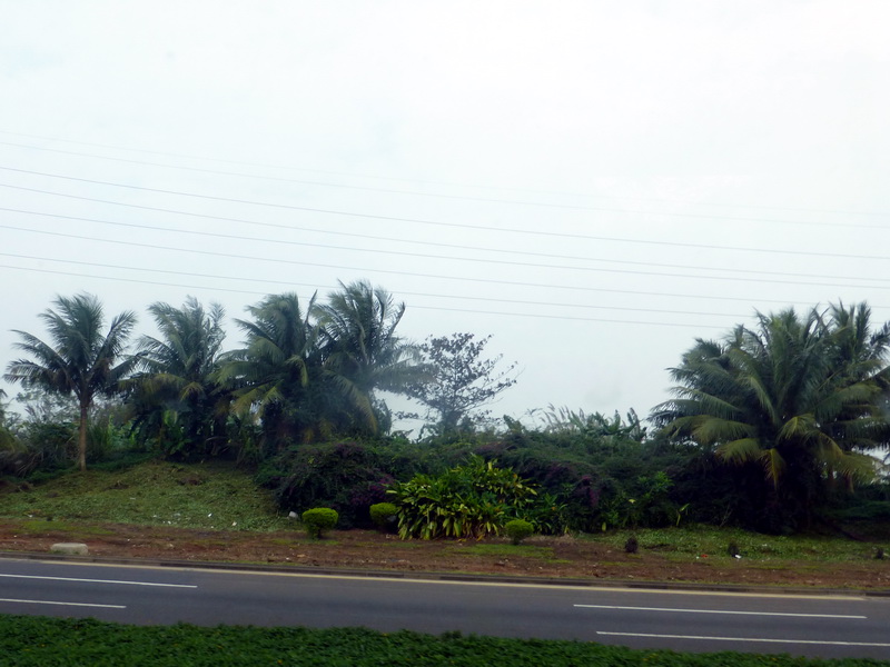 p1160167.jpg