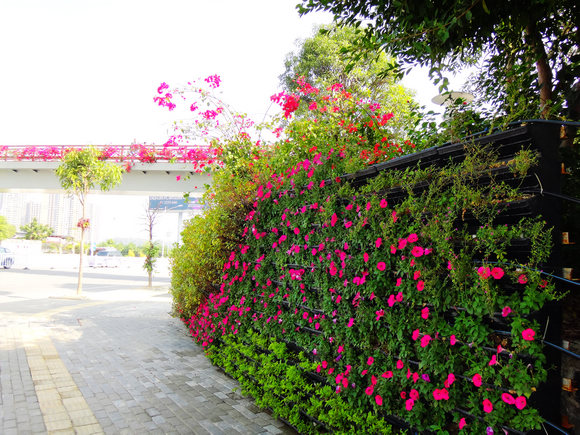 dsc05247.jpg