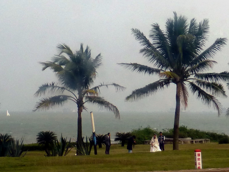 p1160177.jpg