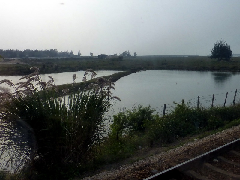 p1160209.jpg