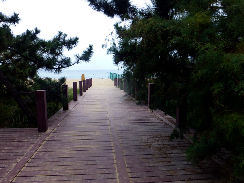 p1250914.jpg