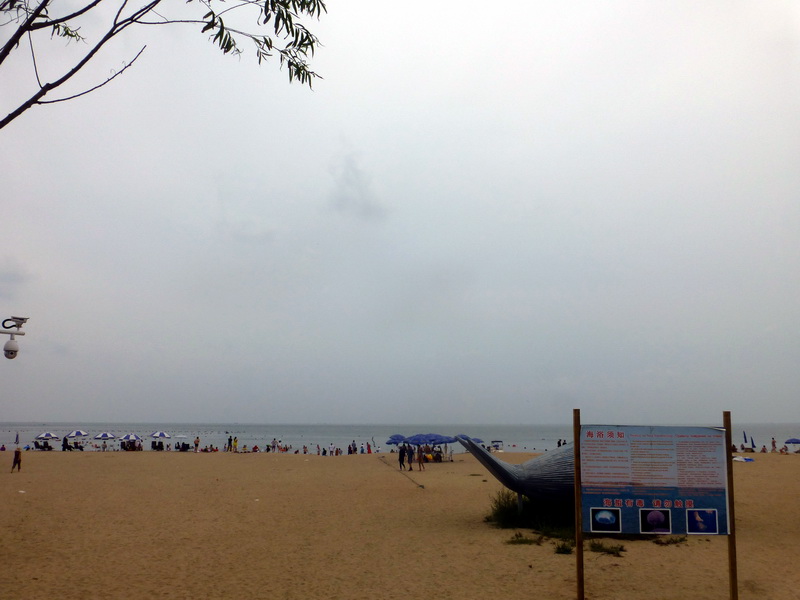 p1250916.jpg