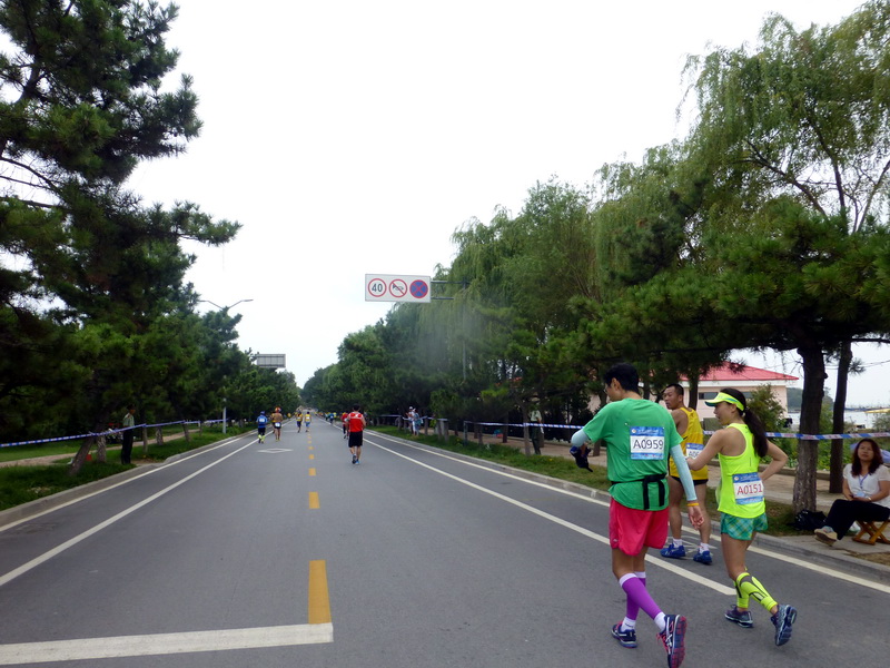 p1250919.jpg