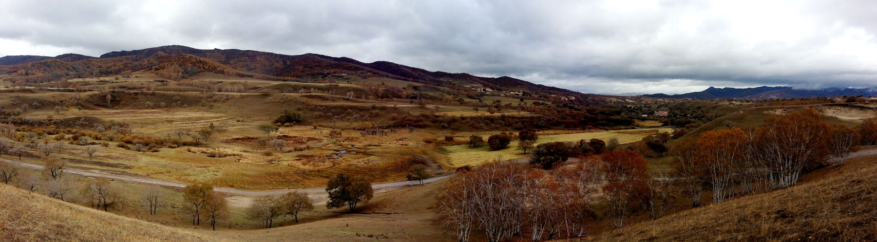 20141004_135644_.jpg