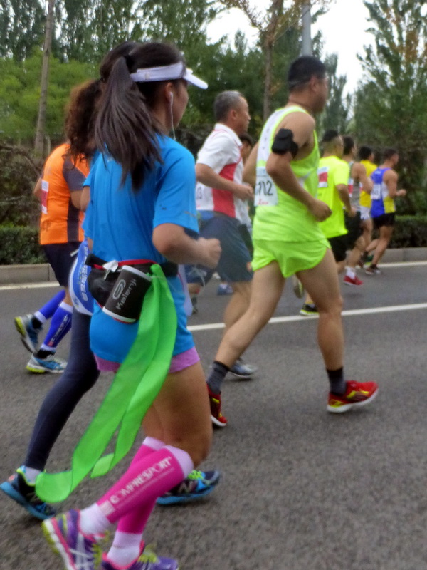p1260152.jpg
