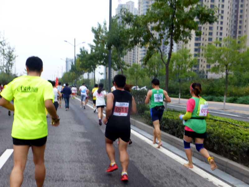 p1260153.jpg