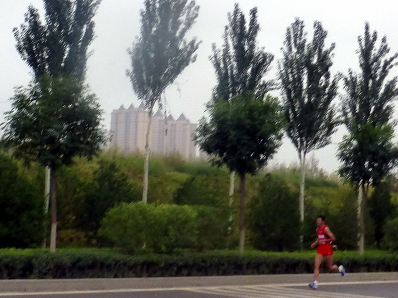 p1260161.jpg
