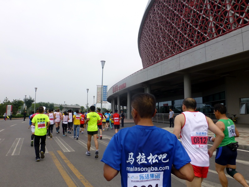 p1260175.jpg