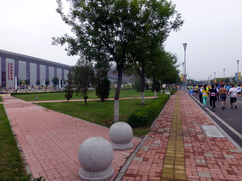 p1260170.jpg