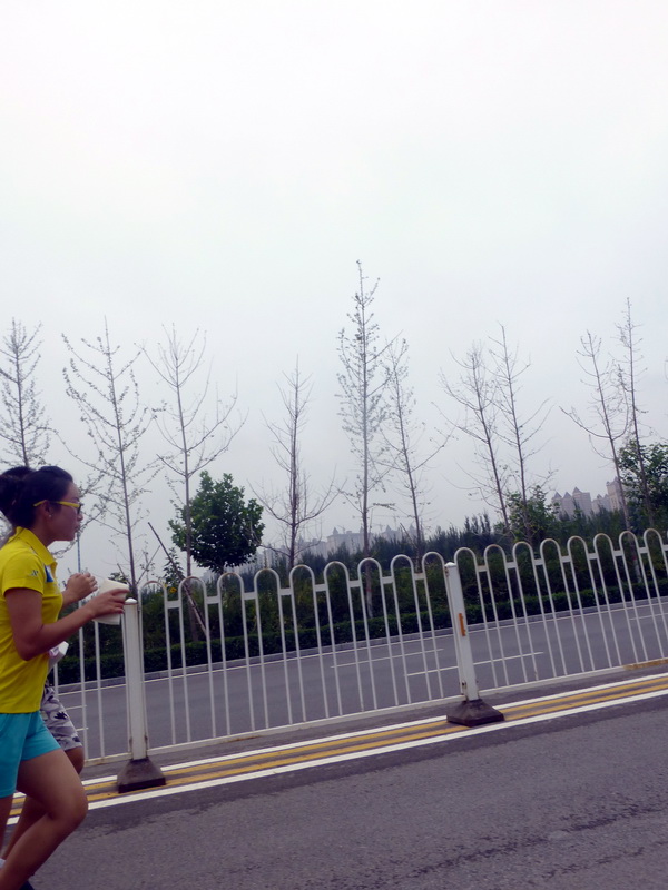 p1260179.jpg